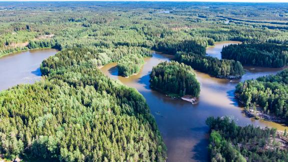 Ilmakuva koskialueesta, jossa näkyy vaihtelevasti vesi- ja metsäalueita.