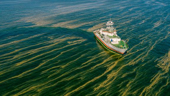 Research vessel Aranda´s route is clearly visible in the algae rafts. Baltic Sea in August 2022. 