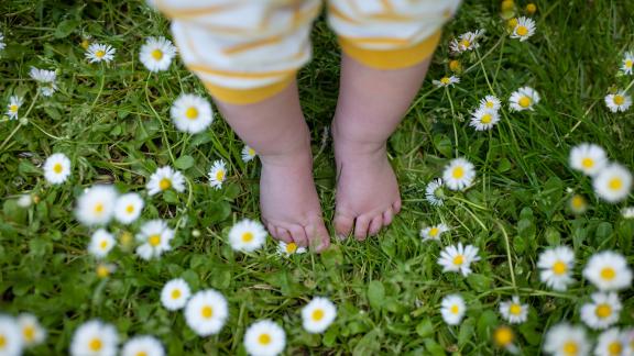 Lapsen varpaat ja kukkia