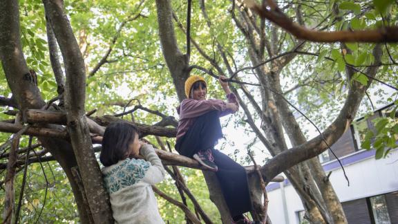 Lapsi kiipeilee puussa asuinalueella