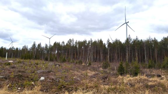 A logging area with wind turbines protruding from the forest in the background