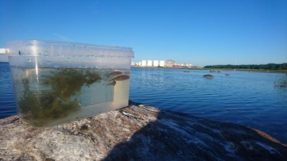 Water sampling photo.