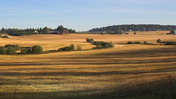 Kuvassa peltomaisemaa