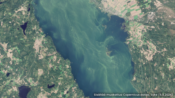 Satelliittikuva järvestä, jossa näkyy vihreitä kiehkuroita.