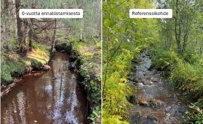 Vasemman puoleisessa kuvassa turvetuotantoalueen melko rännimäinen alapuolinen uoma. Oikeanpuoleisessa kuvassa luonnontilaisen vertailukohteen koskimainen alapuolinen uoma.