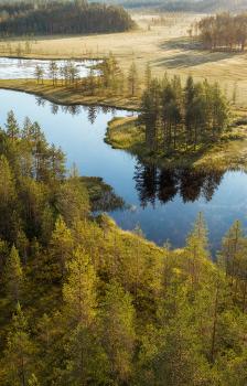 Ilmakuva vesistöstä ja metsistä suomalaisessa maisemassa.