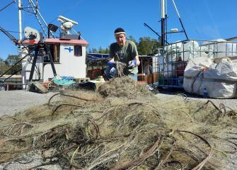 Vanhempi tutkija Pekka Kotilainen istuu kalasatamassa laiturialueella siivoamassa merestä nostettuja haamuverkkoja aurinkoisena kevätpäivänä. 