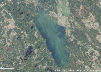 Satelliittikuva sinilevästä Säkylän Pyhäjärvellä