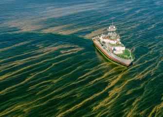 Research vessel Aranda´s route is clearly visible in the algae rafts. Baltic Sea in August 2022. 