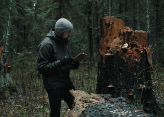 Mies tutkii puunrunkoa.