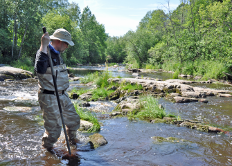 Mies kahlaa matalassa virtavedessä ja tarkastelee vesikasvillisuutta.