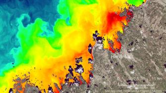 Veden pintalämpötila rannikolla.
