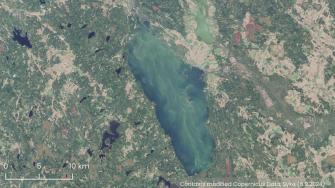 Sinilevää Säkylän Pyhäjärvellä 6.9.2024