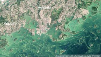 Satellite image of Sentinel-2 17.7.2018 of algae bloom in front of Helsinki