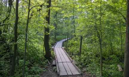 Saavutettava luontopolku