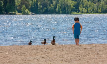 Pieni lapsi ja kolme sorsaa seisovat hiekkarannalla ja katsovat järvelle.