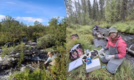 On the left, researcher is assessing aquatic vegetation at a stream. On the right, researcher pours microbial sample material into tubes and another researcher identifies aquatic bryophytes.