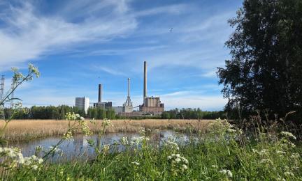 Energialaitos lintulammen kupeessa kesällä 2026.