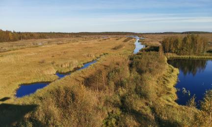 Entiselle turvetuotantoalueelle perustettu kosteikko lintutornista käsin kuvattuna.