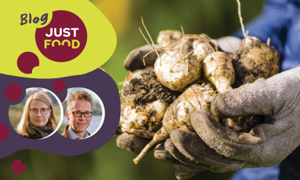 Just food Blog Huttunen ja Paloviita