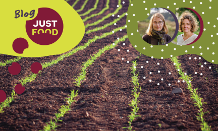 Just food Blog Huttunen ja Kaljonen