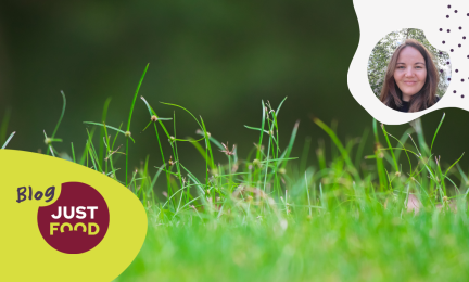 Just food Blog Sara Simola