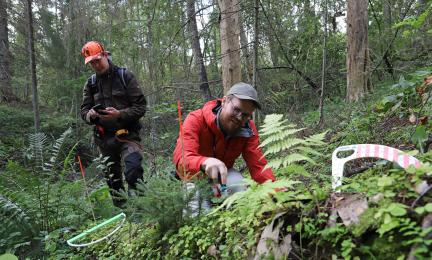 Kuvassa kaksi maastomittaajaa tekee ekologisia mittauksia metsässä