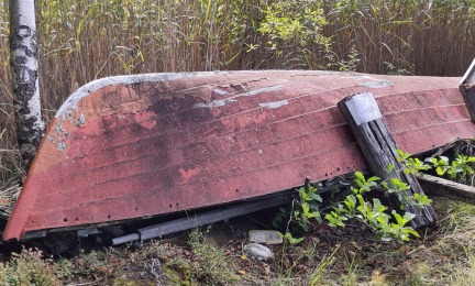 Lasikuituneen hylky rantaheinikossa