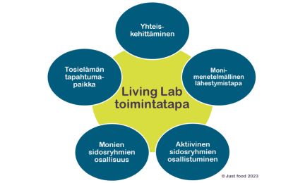 Kaavion konsepti on peräisin European Network of Living Lab:sta (ENoLL), joka on kansainvälinen, voittoa tavoittelematon ja muista riippumaton järjestö.