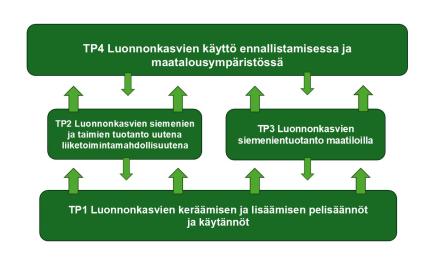 Hankkeen työpakettikaavio
