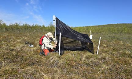 Henkilö asentaa telttamaista hyönteispyydystä aukealle suolle. Taustalla tunturi.