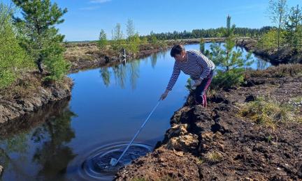 Vesinäytteenotto turvemailla