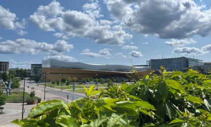 Kuvassa näkyy Helsingin keskustakirjasto Oodi. Etualalla vihreitä köynnöksiä ja taustalla pilvinen sinitaivas.