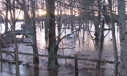 Tulva, aita, puu, pesukone