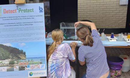 Photo from Sopot Science Picnic.