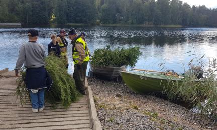 Ryhmä koululaisia talkootöissä järven rannalla.