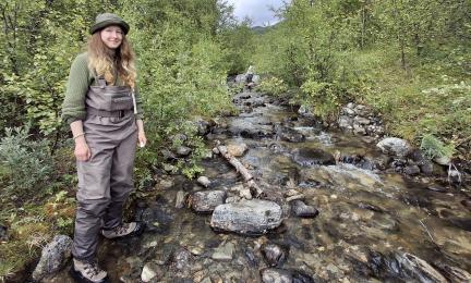 Researcher standing at a Norwegian stream. There is alpine birch forest around the stream.
