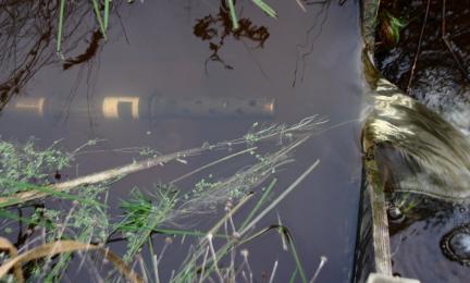 Automaattinen vedenlaatumittari veden alla