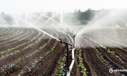Irrigation system