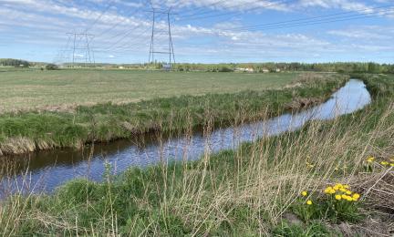 Leveä oja virtaa peltojen välissä