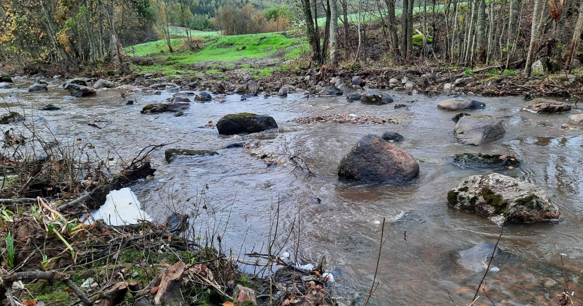 Stream monitoring networkThe Stream monitoring network project establishes a national monitoring system that provides up-to-date information on ...