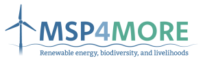 MSP4MORE project logo