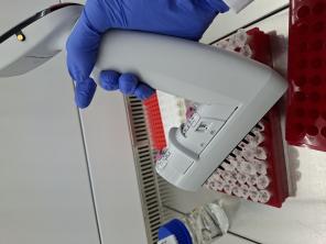 Monikanavapipetillä pipetointia