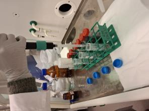 Kuvassa koeputkia vetokaapissa ja käsi, jossa pipetti