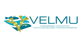 Velmu-logo